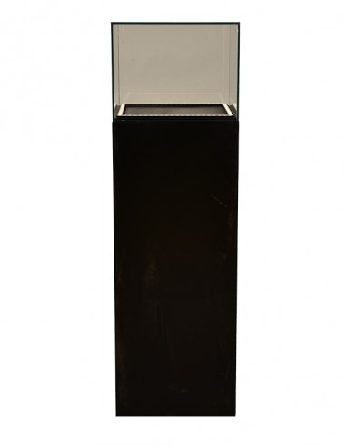 COLONNINA NERA CON TECA E LED