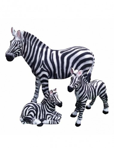 ZEBRA DECORATIVA