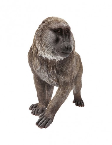 FIGURA DECORATIVA BABBUINO