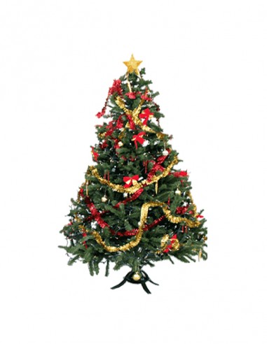 ALBERO DI NATALE