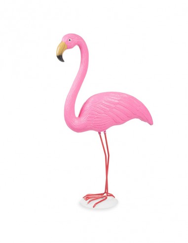 FENICOTTERO ROSA