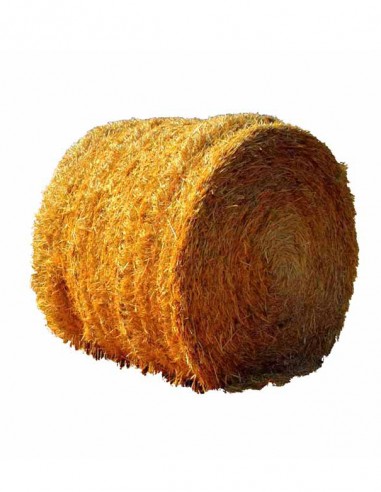 ROTOLO DI FIENO